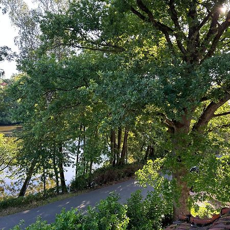 Villa Am See 바트사흐사 외부 사진