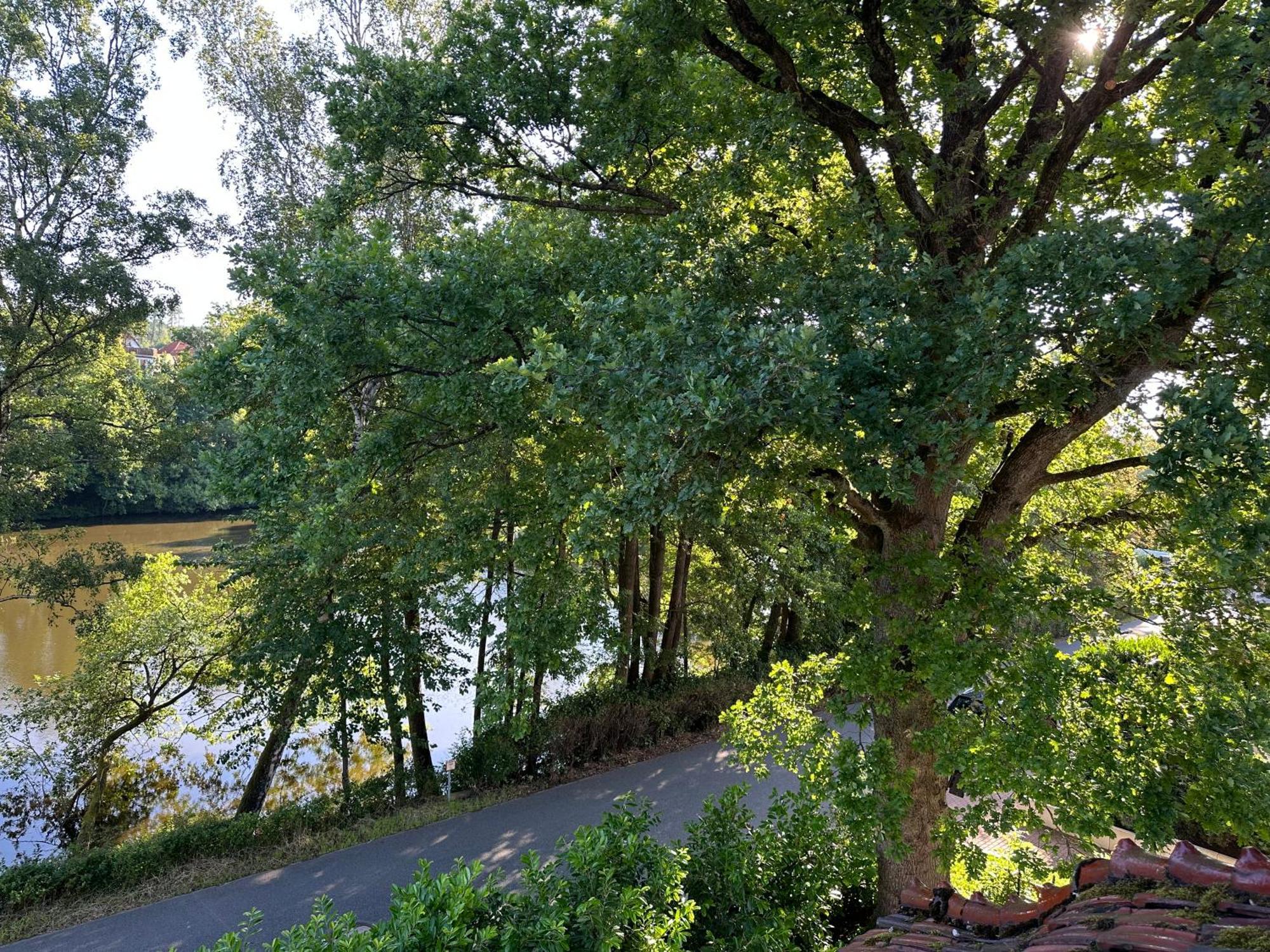 Villa Am See 바트사흐사 외부 사진